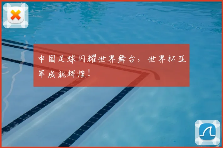 中国足球闪耀世界舞台，世界杯亚军成就辉煌！