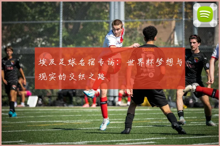 埃及足球名宿专访：世界杯梦想与现实的交织之路